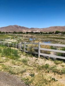 Health Insurance Quotes Nevada